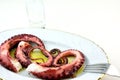 Octopus tentacles meze and ouzo