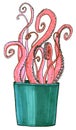 Octopus tentacles sprout from the pot, crazy succulent`s theme, hand-drawn illustration