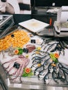 Octopus, tuna, sea bass, seafood, shrimps lie in ice on a shop window Royalty Free Stock Photo