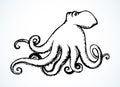 Octopus. Vector drawing icon sign Royalty Free Stock Photo