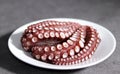 Octopus on a white plate. Royalty Free Stock Photo