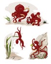 Set octopuses with air in the sea