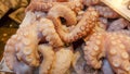 Octopuses in a fish market