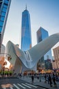 Oculus station in Lower Manhattan, the World Trade Center