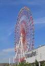 Odaiba Ferris wheel Tokyo Japan Royalty Free Stock Photo