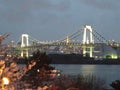 Odaiba rainbow bridge dusk view with cherry blossom