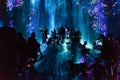 Beautiful projector and reflecting light effect art digital at EPSON teamLab Borderless