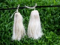 Odapoovu or bamboo flower, made of beaten bamboo,a special offering at Kottiyoor temple Kerala