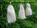 Odapoovu or bamboo flower, made of beaten bamboo,a special offering at Kottiyoor temple Kerala