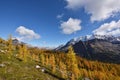 Odaray Grandview Trail, Lake O`hara, Yoho Royalty Free Stock Photo