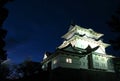 Odawara Castle 02, Japan Royalty Free Stock Photo