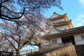Odawara Castle and cherry blossom Royalty Free Stock Photo