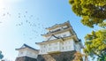 Odawara Castle at morning in autumn, Odawara, Kanagawa Prefecture, Japan.