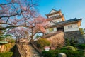 Odawara Castle Royalty Free Stock Photo