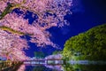 Odawara Castles moat cherry blossoms Royalty Free Stock Photo