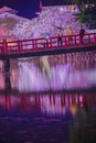 Odawara Castles moat cherry blossoms Royalty Free Stock Photo