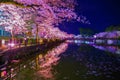 Odawara Castles moat cherry blossoms Royalty Free Stock Photo