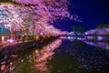 Odawara Castles moat cherry blossoms Royalty Free Stock Photo