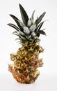 Photo of Odd shaped sliced pineapple Royalty Free Stock Photo