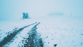 Odenwald Forest with snow