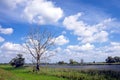 Oder River Brandenburg, Germany Royalty Free Stock Photo