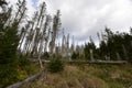 Oderteich in Harz. Royalty Free Stock Photo