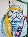 Odesa, Ukraine - May 2023: Graffiti drawing on a wall, military cat. Conceptual street art, building facade, artwork decoration