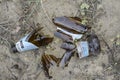 Odessa, Ukraine - April 9, 2020: Broken beer bottle in the sand Royalty Free Stock Photo
