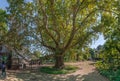 Corner of the old botanical garden