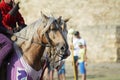 ODESSA, UKRAINE - JULY 20, 2019: Equestrian traditional competitions at knight`s festival in fortress Akkerman Belgorod-Dniester. Royalty Free Stock Photo