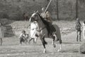 ODESSA, UKRAINE - JULY 20, 2019: Equestrian traditional competitions at knight`s festival in fortress Akkerman Belgorod-Dniester. Royalty Free Stock Photo