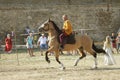 ODESSA, UKRAINE - JULY 20, 2019: Equestrian traditional competitions at knight`s festival in fortress Akkerman Belgorod-Dniester. Royalty Free Stock Photo