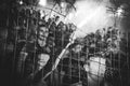 ODESSA, UKRAINE - July 21, 2018: Fans and ultras flare flares for the gate and throw them on the field during the finals of the