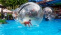 Odessa, Ukraine - May 6, 2019. Little children in an inflatable balloon, having fun on the water. The ball in the water - Royalty Free Stock Photo