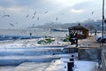 Odessa, winter, frost - people are feeding birds