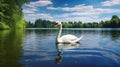 odette swan lake
