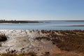 Odiel marshes in Huelva