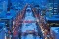 Odori park in winter, Sapporo, Japan