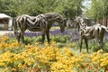 Odyssey the horse and Hope the Colt sculptures made of driftwood