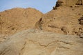 Oenanthe melanura bird on a rock. The blackstart, Oenanthe melanura, is a chat found in desert regions. Dahab, Egypt Royalty Free Stock Photo