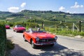 Oenological tour in Langhe driving italian vintage spider cars