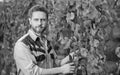 oenologist cutting grapevine with garden scissors, gardening