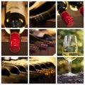 Oenology and wine collage Royalty Free Stock Photo