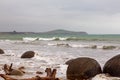 The huge round boulders of Moeraki. Pacific coast. New Zealand Royalty Free Stock Photo