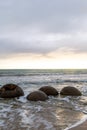 Landscapes of the Pacific coast of New Zealand. Moeraki boulders. South Island, New Zealand Royalty Free Stock Photo