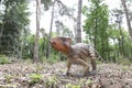 Oertijdmuseum-Boxtel-12-06-2022: Stychimoloch dinasaur in forest, The Netherlands