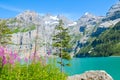 Oeschinen Lake, Oeschinensee in Switzerland photographed on a sunny day with pink Alpine flowers. Turquoise lake with rocky