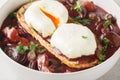 Oeufs en meurette Poached eggs in a red wine sauce with pearl onions, mushrooms and bacon closeup on the plate. Horizontal Royalty Free Stock Photo