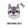 Dog grooming. Animal care salon.