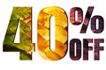 40% off discount promotion sale poster, ads. Autumn sale banner with green, yellow and red leaves on white background.